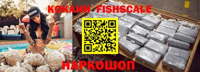 индика Гатчина