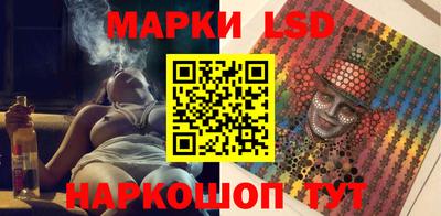 индика Гатчина