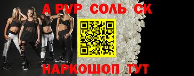 индика Гатчина