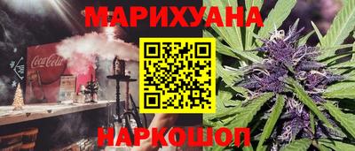 индика Гатчина