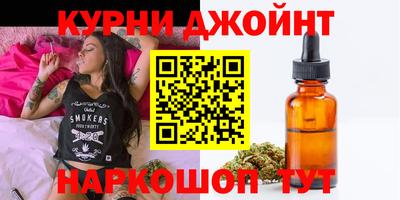 индика Гатчина