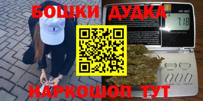 индика Гатчина