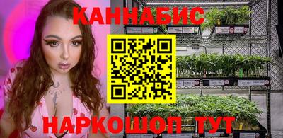 индика Гатчина