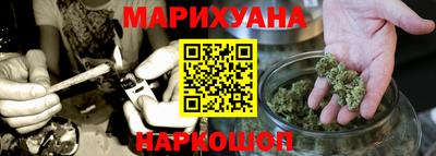 индика Гатчина