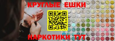 индика Гатчина