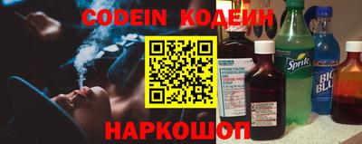 индика Гатчина