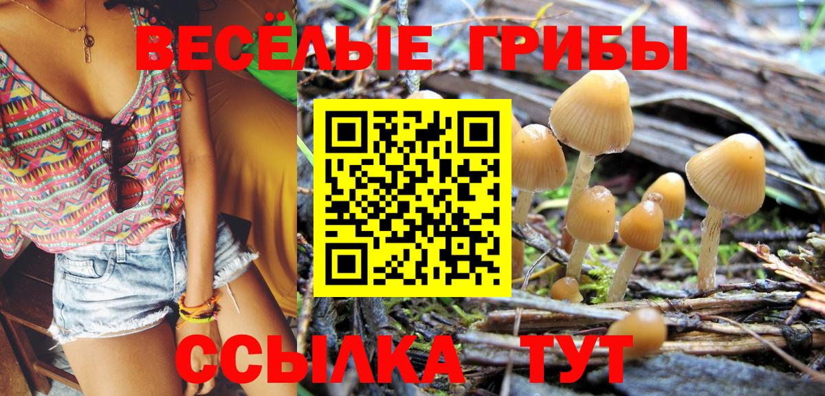 Галлюциногенные грибы мицелий  Галлюциногенные грибы Cubensis  Вход с VPN  Нарткала 