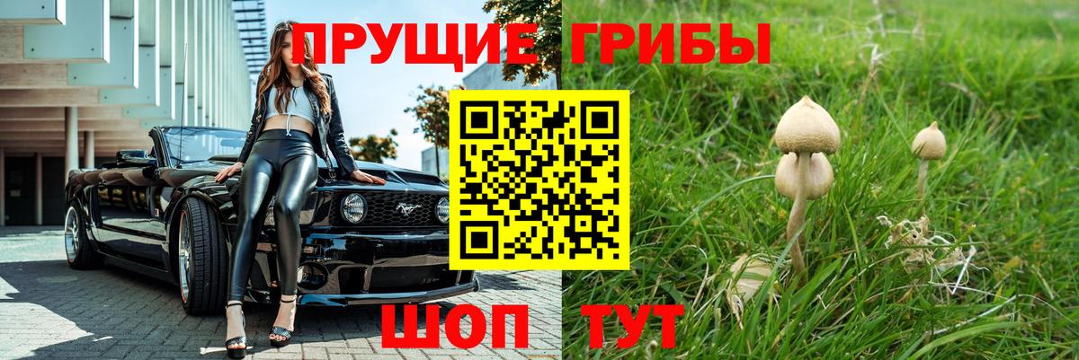 Псилоцибиновые грибы мухоморы Нарткала